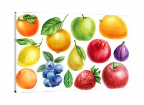 Watercolor Fruits Collection. Apple Pear Lemon Orange Mango Pomegranate and Persimmon. Fig, Peach, Strawberry Blueberry Clipart