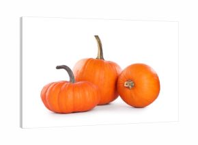 Different whole ripe pumpkins isolated on white