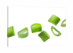Fresh cut green onion flying on white background