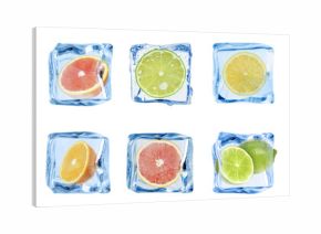 Citrus fruits in ice cubes isolated on white, set