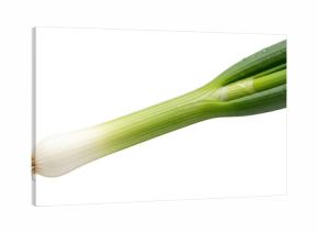 Fresh green onion isolated on transparent background for culinary and nutrition use