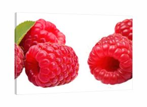 Fresh ripe raspberries with leaves