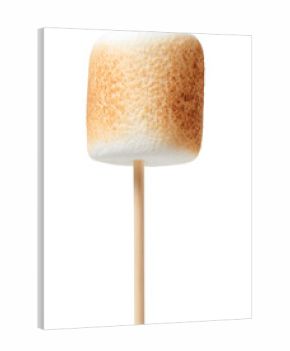 Toasted marshmallow on stick isolated on transparent background, perfect for dessert and campfire visuals..
