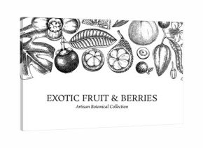 Exotic fruit background. Tropical plants hand drawn vector illustration. Healthy food banner design template. NOT AI generated