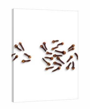 Collection of cloves spice isolated on a transparent background, PNG. High Resolution. Natural Aromatic Spice for Cooking and Baking, elements for Christmas and winter decoration design.