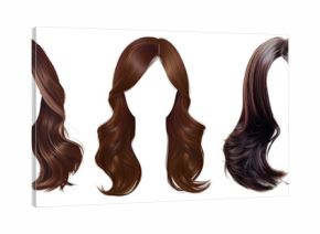 PNG Diverse stylish hair wigs, element set on transparent background