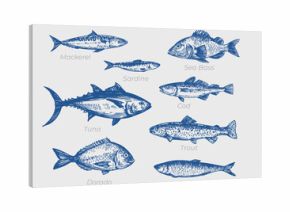 Dorado fish, seafood, vector sketch illustration, hand drawn