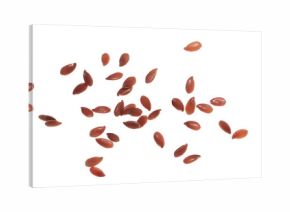 Flaxseed flying, linseed isolated on white background, clipping path, macro