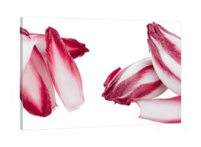 red chicory or radicchio leaves isolated on white background
