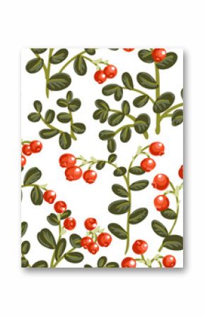 vector seamless pattern with drawing plants of lingonberry with green leaves and red berries at white background, hand drawn illustration