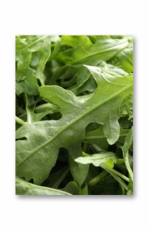 Many fresh arugula leaves with water drops as background, closeup