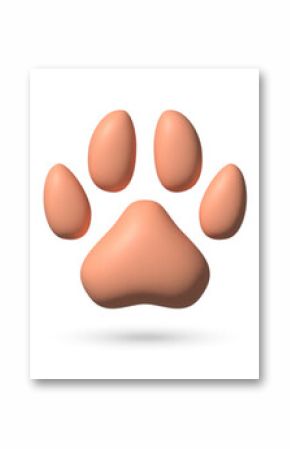 3d paw icon collection. Different color realistic pet footprint isolated on white background