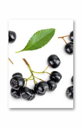 Chokeberry with leaf isolated on white background. Black aronia. Top view. Flat lay