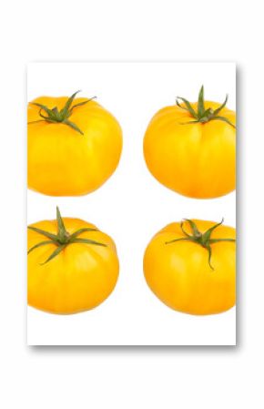 yellow tomato path isolated on white