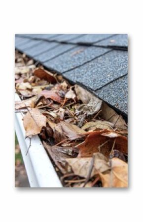 Professional inspecting roof gutters and drainage system.
