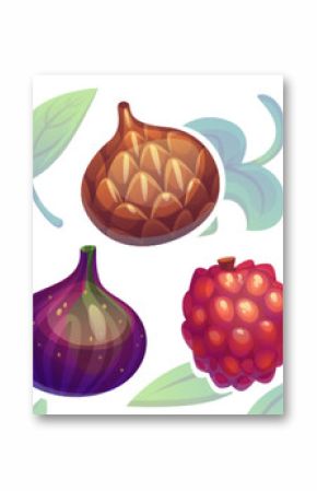 Tropical fruits composition with orange mango, brown artichoke, purple fig, red lychee and bright dragon fruit. Exotic botanical set with decorative green leaves for menu design and food packaging.