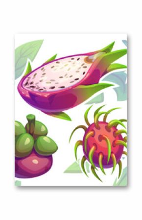 Tropical fruits set with spiky soursop, sliced dragon fruit, purple mangosteen, red rambutan and ripe pineapple. Exotic organic collection with green foliage background for natural food illustrations.