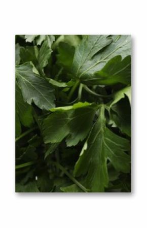 Fresh parsley leaves as background, closeup view