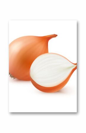 Ecological product for cooking, isolated realistic onion. Vector ingredient for preparing meal. Tasty food whole and sliced pieces. Delicious grocery from shop, organic natural diet nutrition