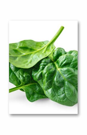Organic Spinach leaves isolated on white background. Baby Spinach leaf Flat lay. Top view.  Espinach leaves food salad ingredient. Package design element