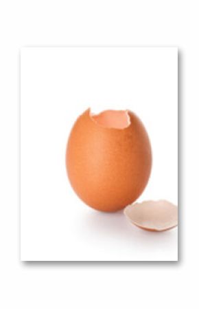 Set of egg shells on white background