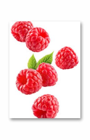 Raspberry isolated png. Raspberries with leaf flying on transparent background. Raspberry fall. Falling berries no background. Vertical composition. Full depth of field. Transparent png.