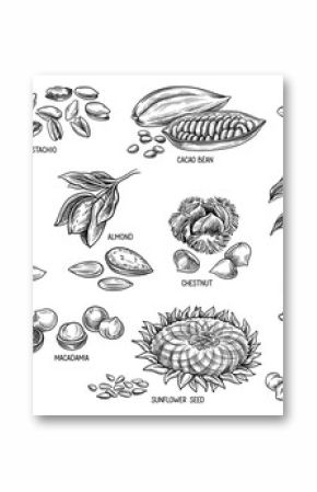 Nuts and seeds sketch set. Outline engraving with poppy and sunflower seeds, macadamia and walnut, almond and peanut, cocoa bean and pecan. Linear flat vector collection isolated on white background