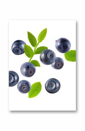 Fresh ripe bilberries and green leaves flying on white background