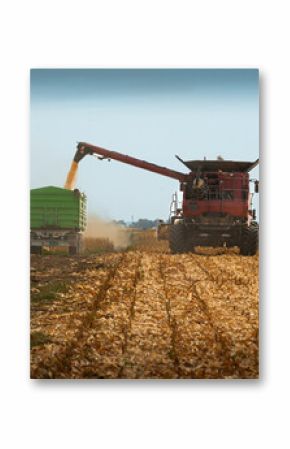 Combine transferring corn after harvest