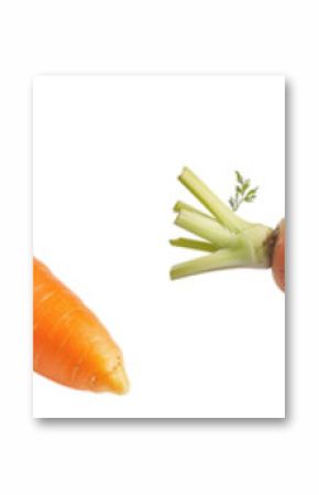 On a transparent background, carrots are isolated.