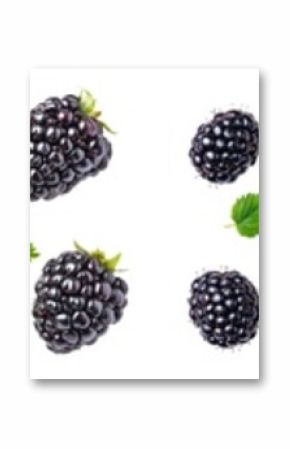 Blackberries with leaves isolated on white background.