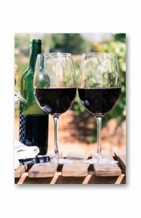 Glass of red wine ripe grapes and picnic basket in vineyard