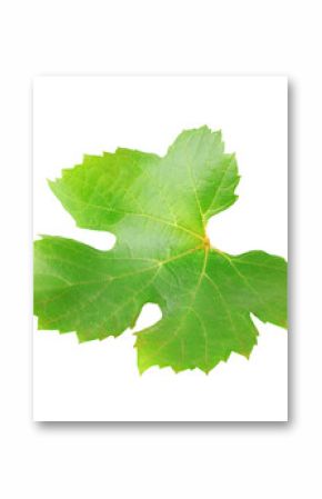 One grape leaf cutout