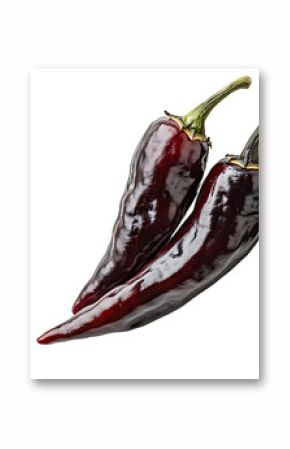 Black chipotle or Ancho chili pepper isolated on a white background.