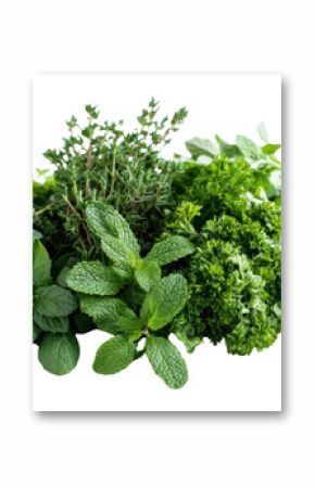 PNG A pile of fresh herbs parsley mint plants.