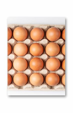 Egg Tray Isolated, Twenty Brown Eggs Pack, Fresh Organic Egg in Container