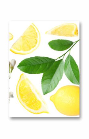 Fresh lemons, green leaves and flowers on white background, collage. Citrus fruit