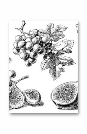 Vintage black and white engraving of cheese, grapes, and figs - hand drawn illustration for retro design