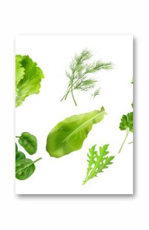 Realistic kitchen herbs. 3d spice herb, green salad leaf lettuce mint parsley basil spinach dill thyme coriander farm vegetable cooking ingredients set, exact vector illustration