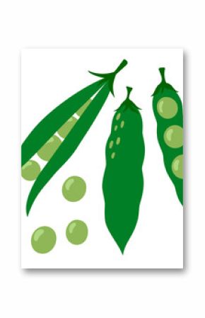 Peas set. Green pea pod. Vegetable icon. Healthy vegetarian food. Hand drawn flat vector illustration isolated on white background
