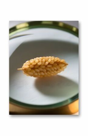 Magnified View of a Single Rice Seed Head, Macro Photography of Uncooked Rice Grains Cluster, Golden Rice Kernels Under a Magnifying Glass, Scientific Look at Premium Rice Grain Structure