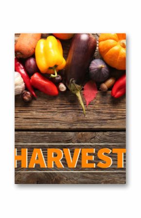 Different fresh vegetables and fruits on wooden background. Harvest festival