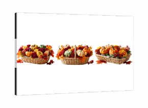 Rustic wicker baskets filled with pumpkins, gourds, and autumn leaves on a transparent background