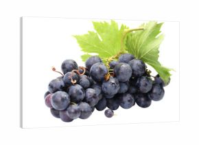 Bunch of grapes isolated