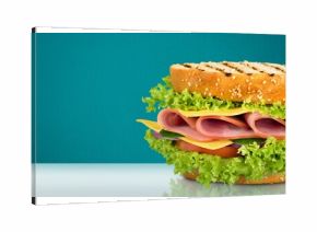 Tasty fresh big sandwich with ham, and vegetables