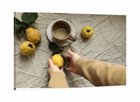 Fall still life. Woman holding yellow quince in hands. Cup of coffee on blurred crumpled fabric background. Cozy autumn mood, warm natural light. Seasonal fruit harvest concept. Flat lay, top view