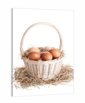 Chicken eggs in basket and nest isolated on white