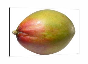 Whole mango with smooth skin, tropical fruit on isolated background