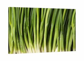 Fresh green spring onions as background, top view