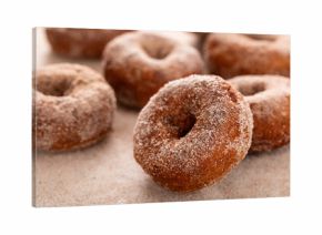 Apple cider or pumpkin spice donuts being covered in cinnamon sugar after baking